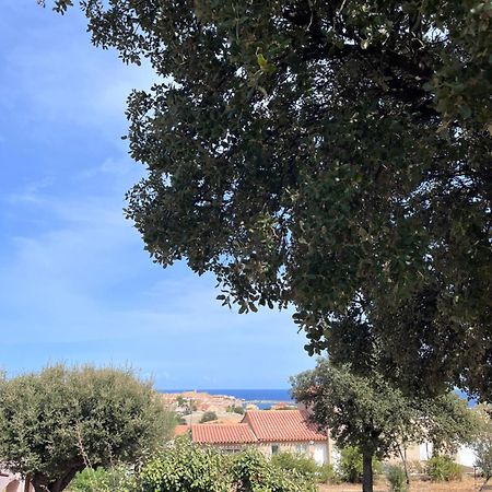 Appartement Rez De Villa LʼÎle-Rousse Esterno foto